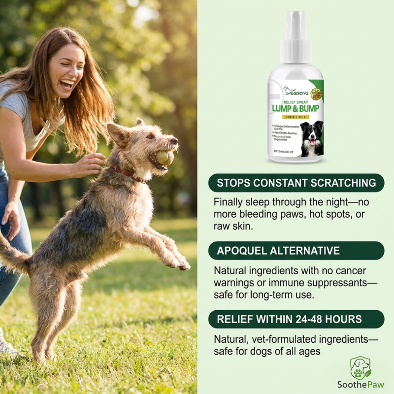 SoothePaw | Relief That Stays On