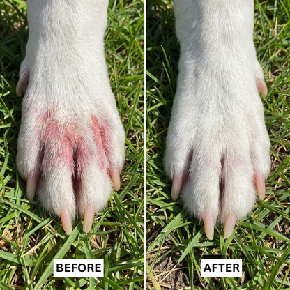 SoothePaw | Relief That Stays On